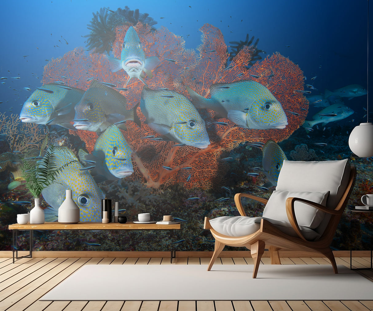 Painted sweetlips Poster och Canvastavla