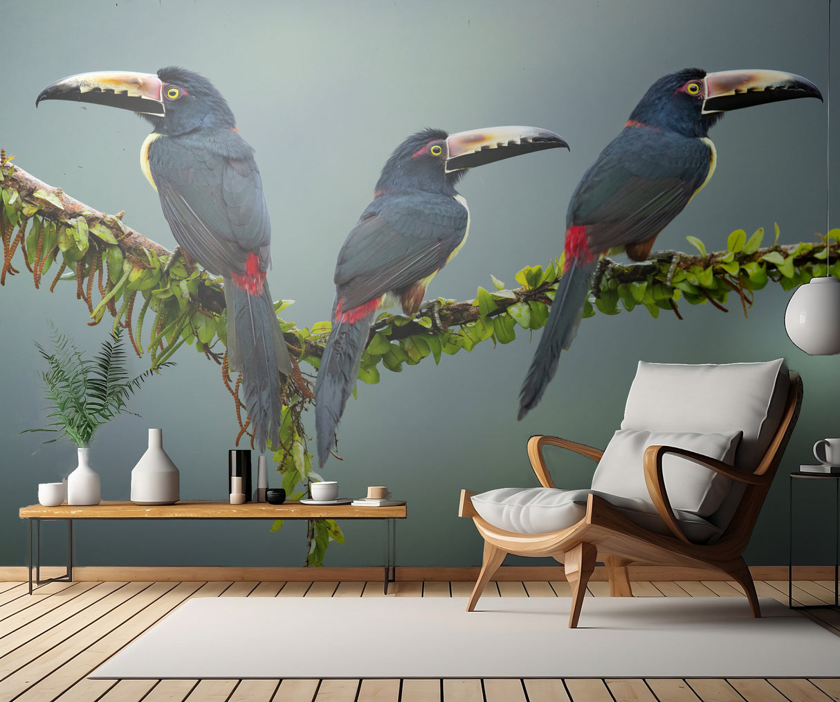 Collared Aracari Poster och Canvastavla