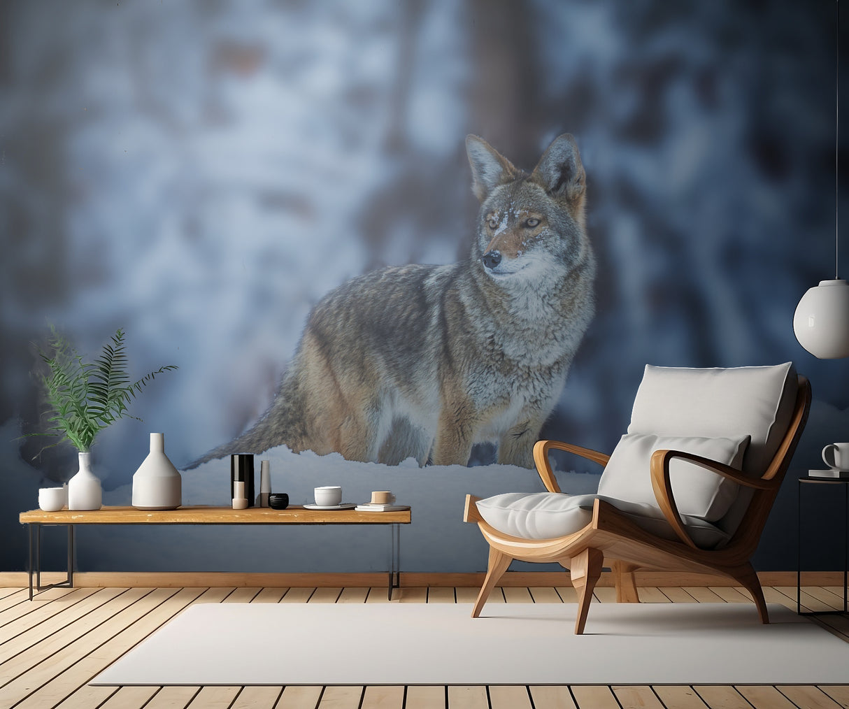 Coyote in Winter Poster och Canvastavla