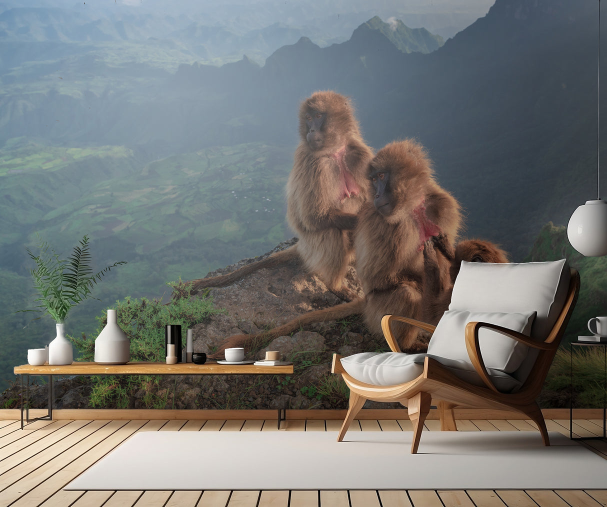 Morning toilette in the Simiens Poster och Canvastavla