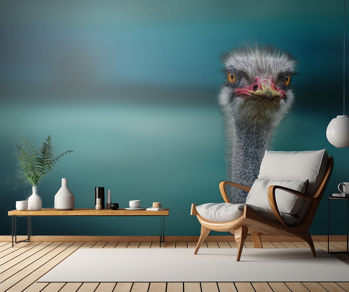 Ostrich Protecting two Poor Chicken from the Wind Poster och Canvastavla