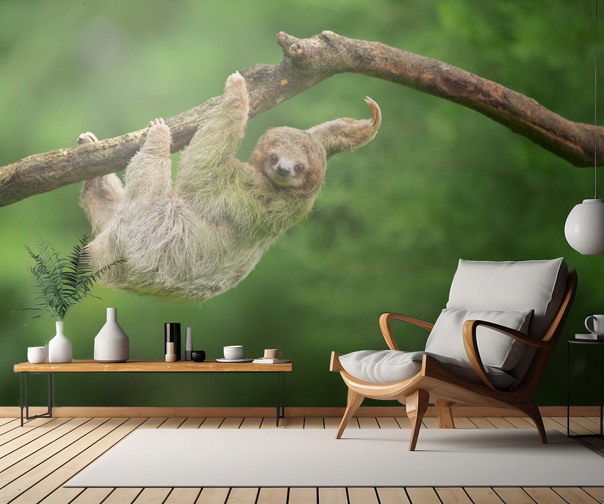 Brown-throated sloth Poster och Canvastavla