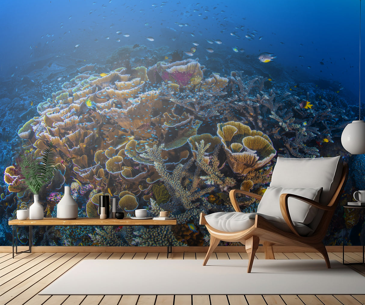 Coral Garden Poster och Canvastavla