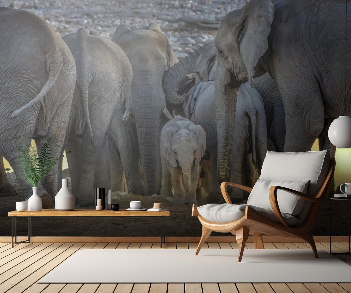 The Baby Elephant and the Elephants Family Poster och Canvastavla