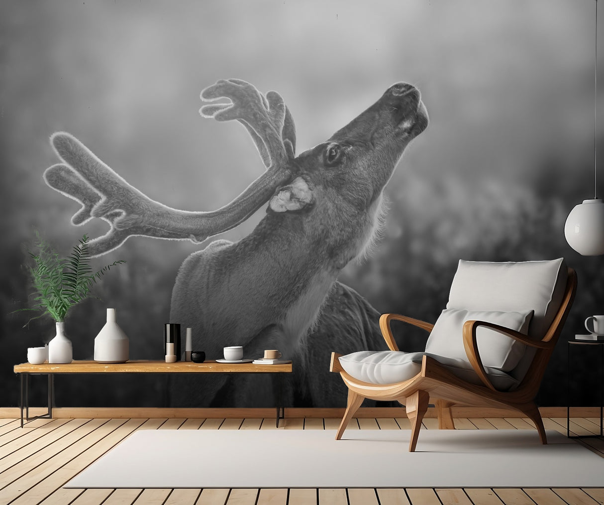 Deer Backlit Poster och Canvastavla