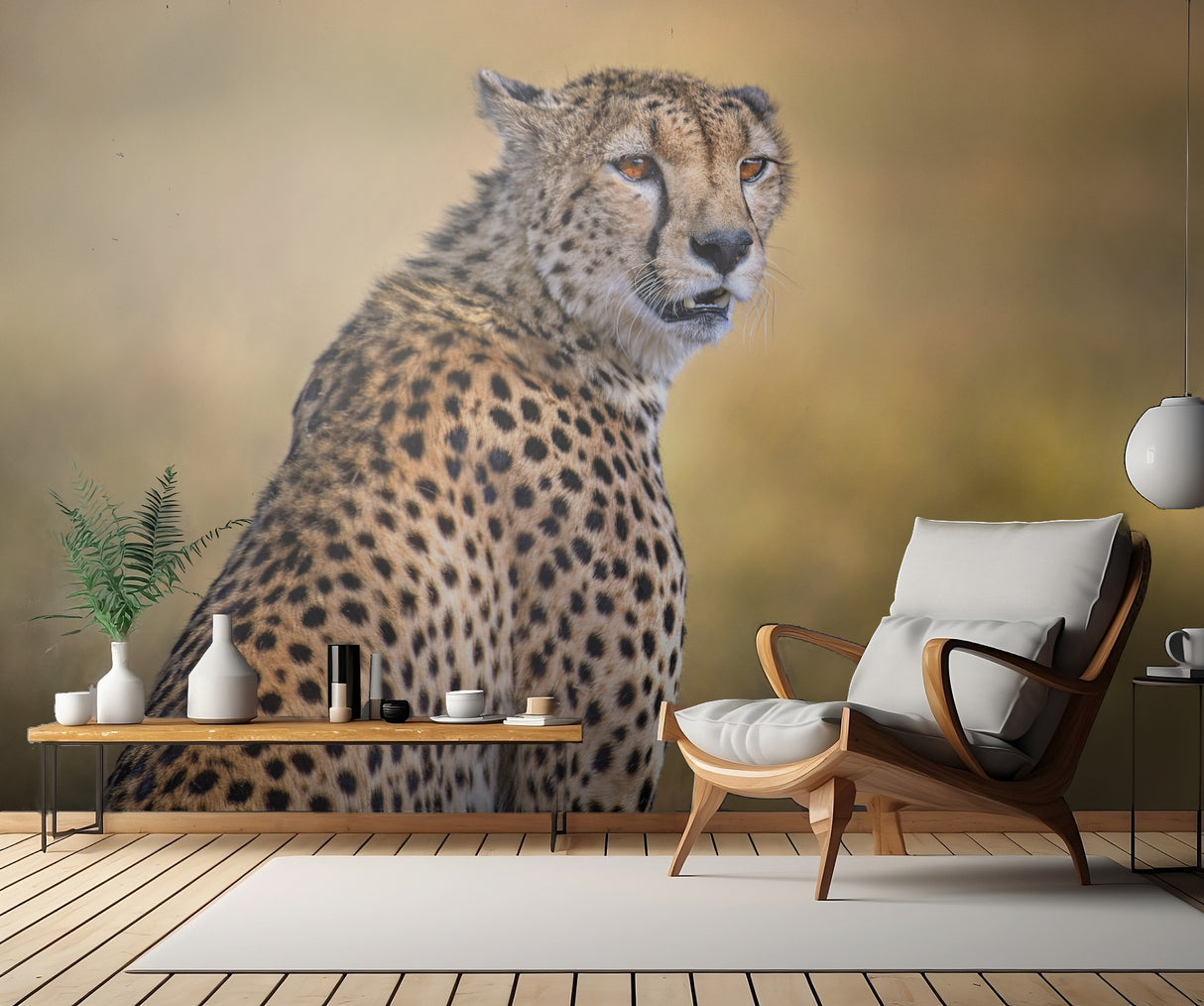 Cheetah portrait Poster och Canvastavla