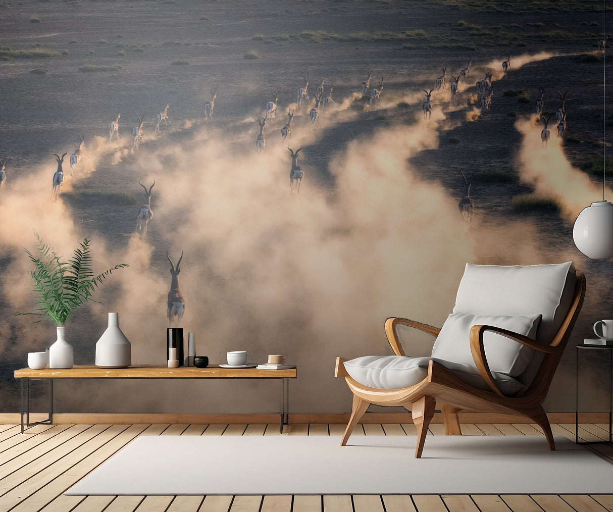 thomson gazelle in sunset Poster och Canvastavla