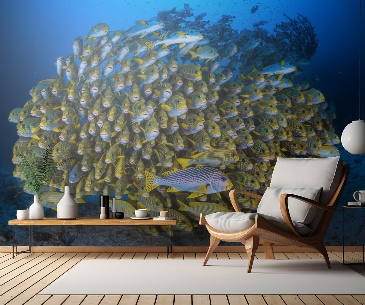 Cape Kri's school of sweetlips Poster och Canvastavla