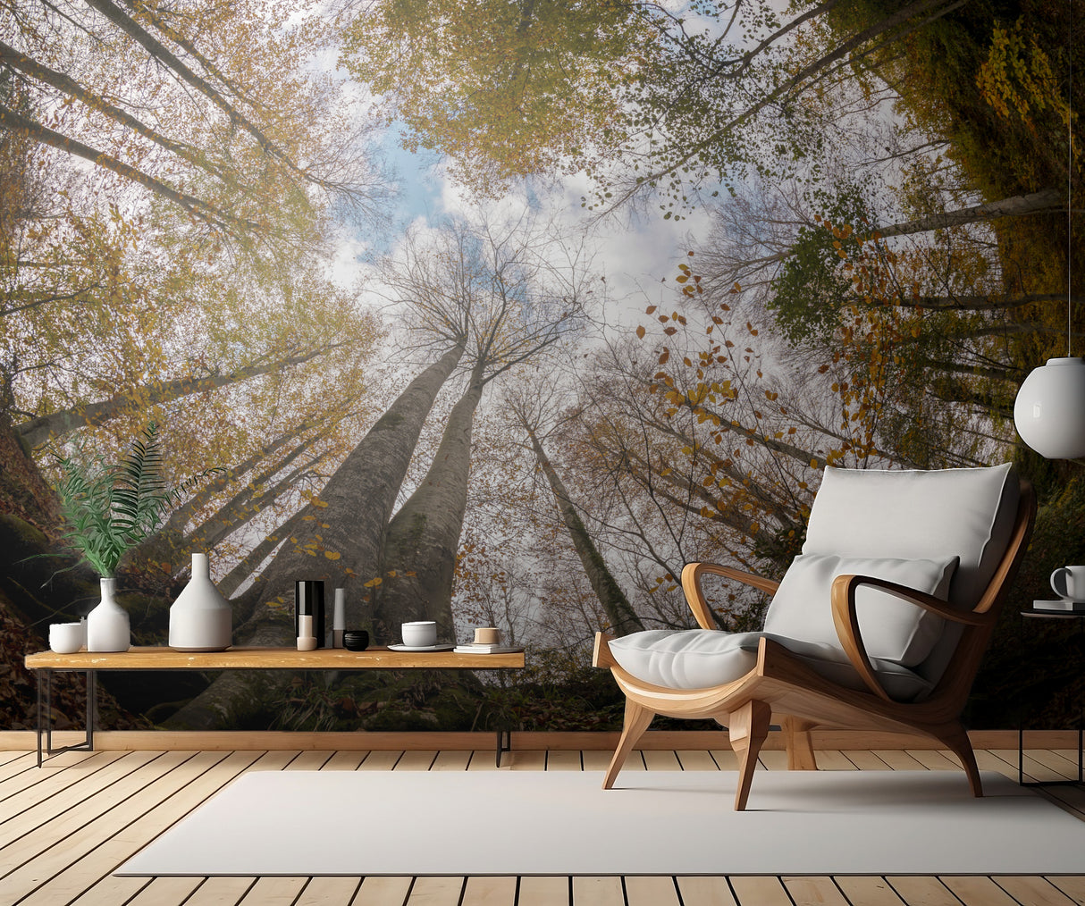 Forest Poster och Canvastavla