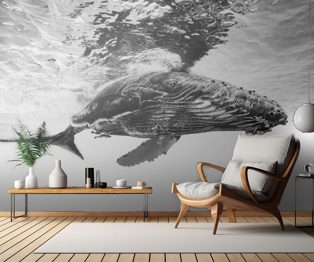 Humpback whale calf Poster och Canvastavla