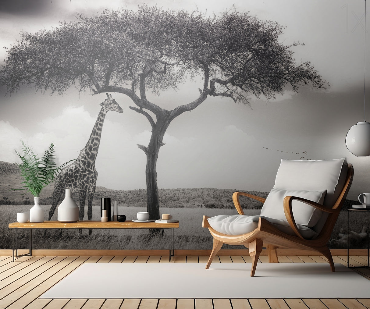 under the African sun Poster och Canvastavla
