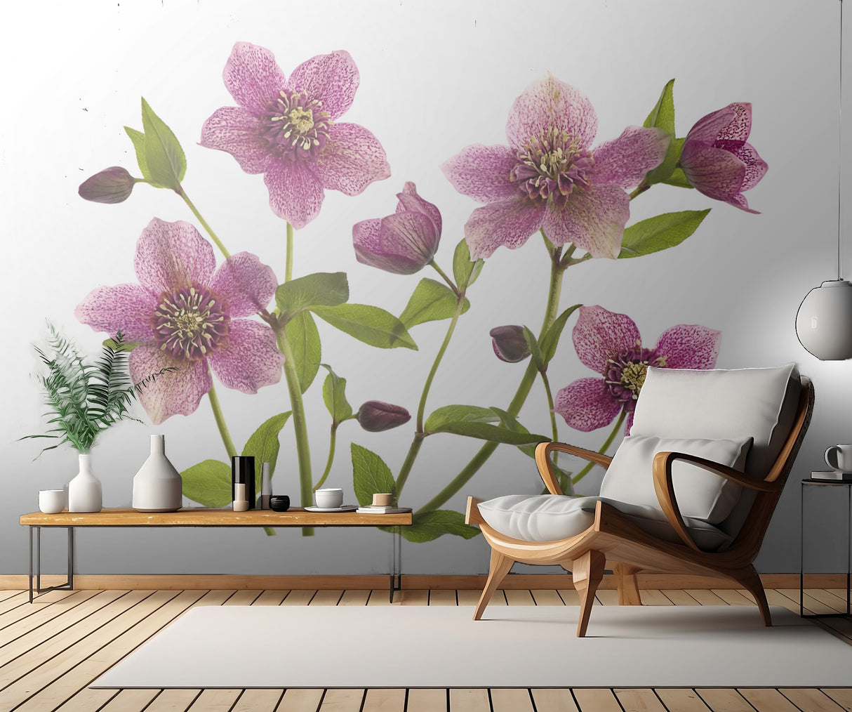 Helleborus x hybridus Tutu Poster och Canvastavla