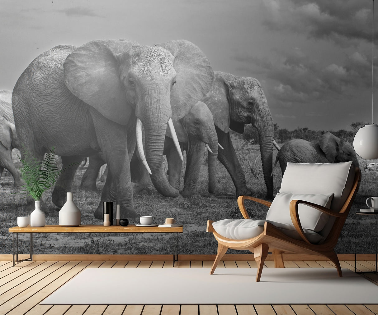 Elephants family Poster och Canvastavla