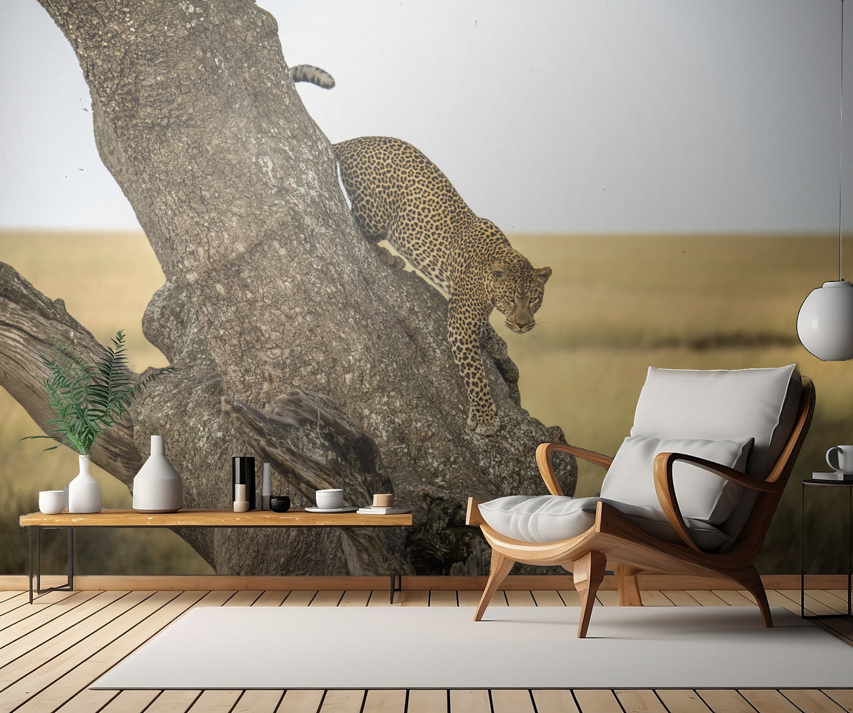 Leopard - Serengheti, Tanzania Poster och Canvastavla