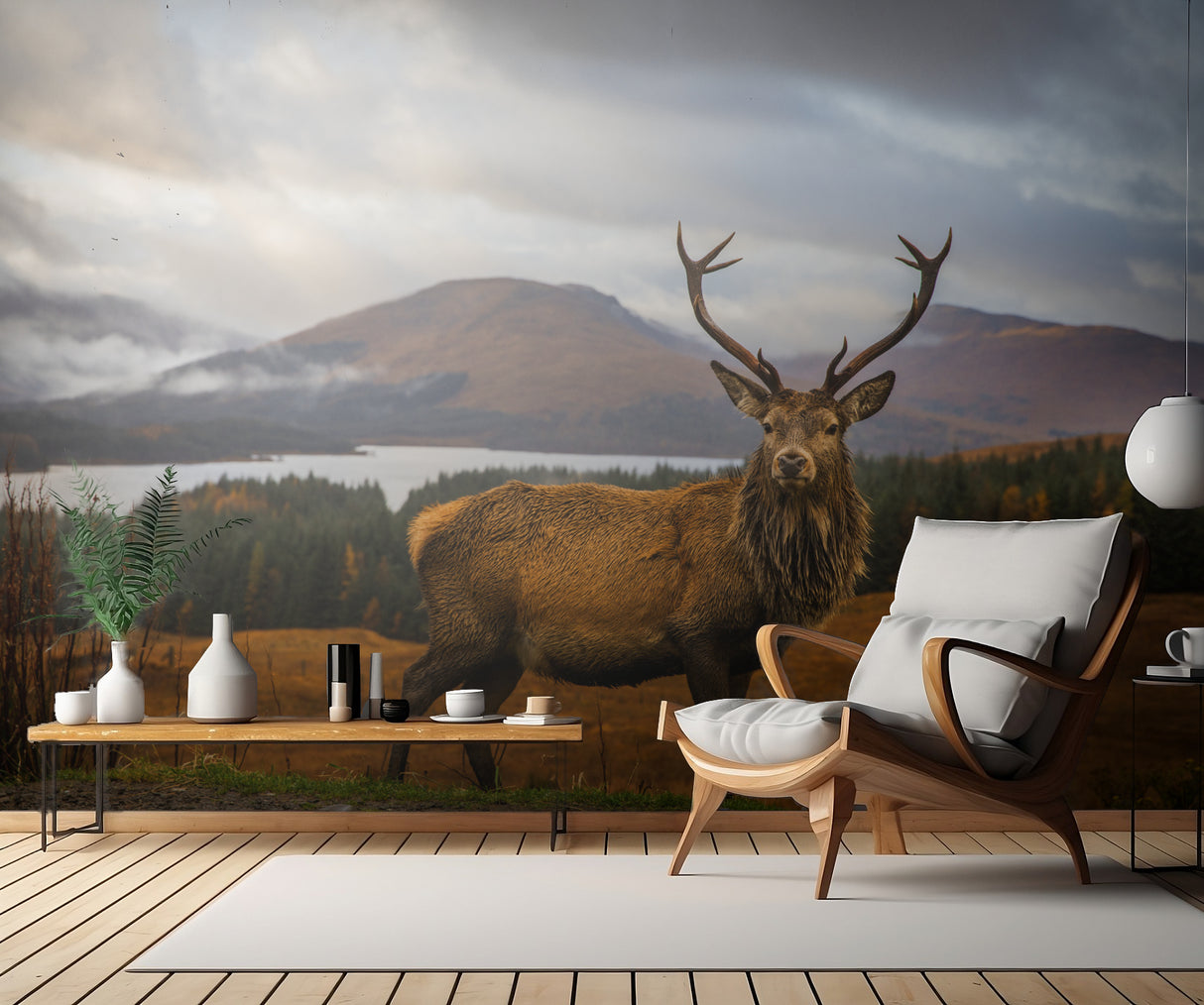 Scottish Stag Poster och Canvastavla