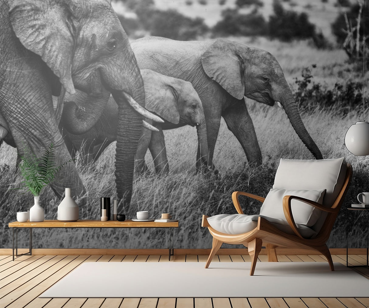 Elephant family Poster och Canvastavla