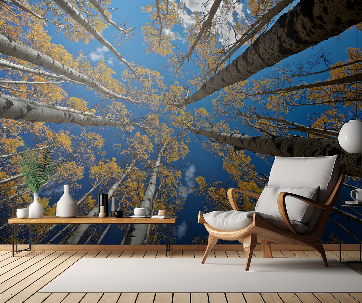 Aspen's fall Poster och Canvastavla