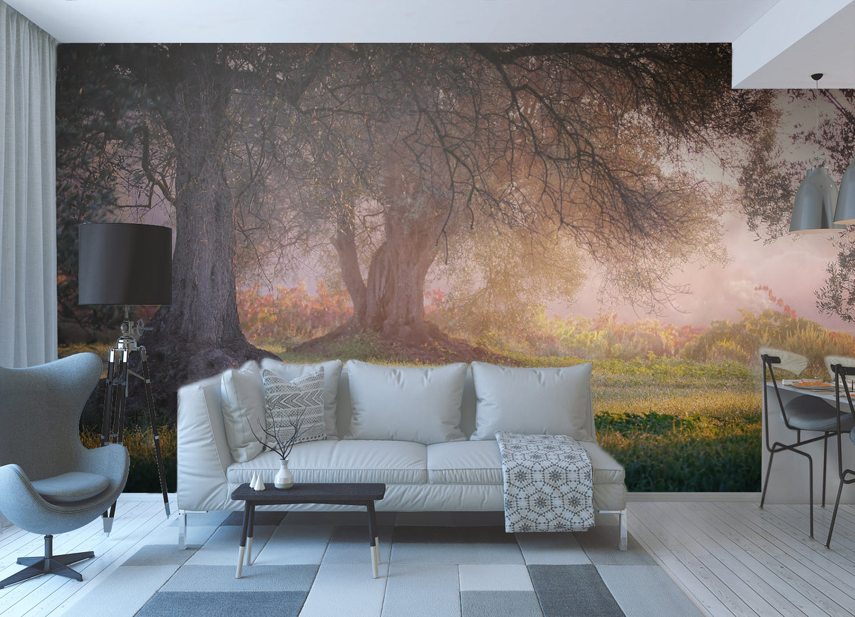 Autumn in Catalonia Poster och Canvastavla