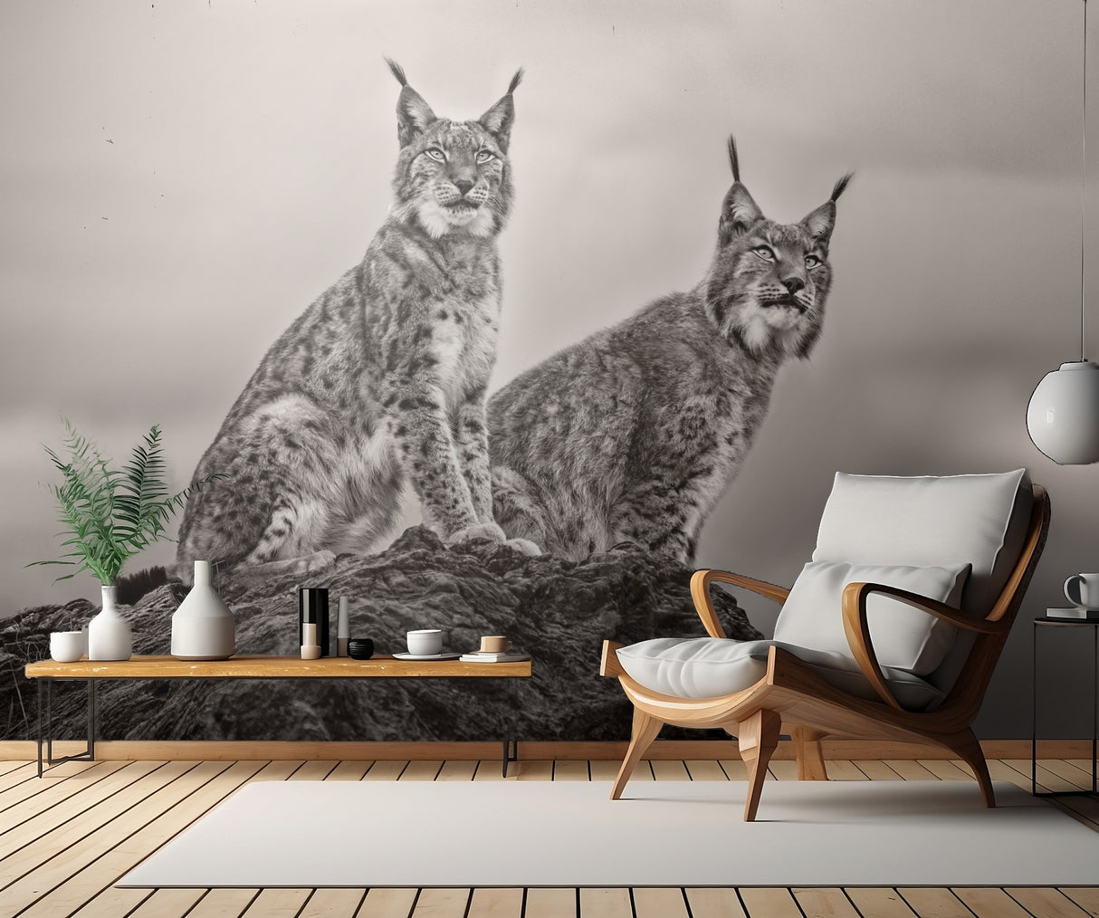 Two Lynx on rock Poster och Canvastavla