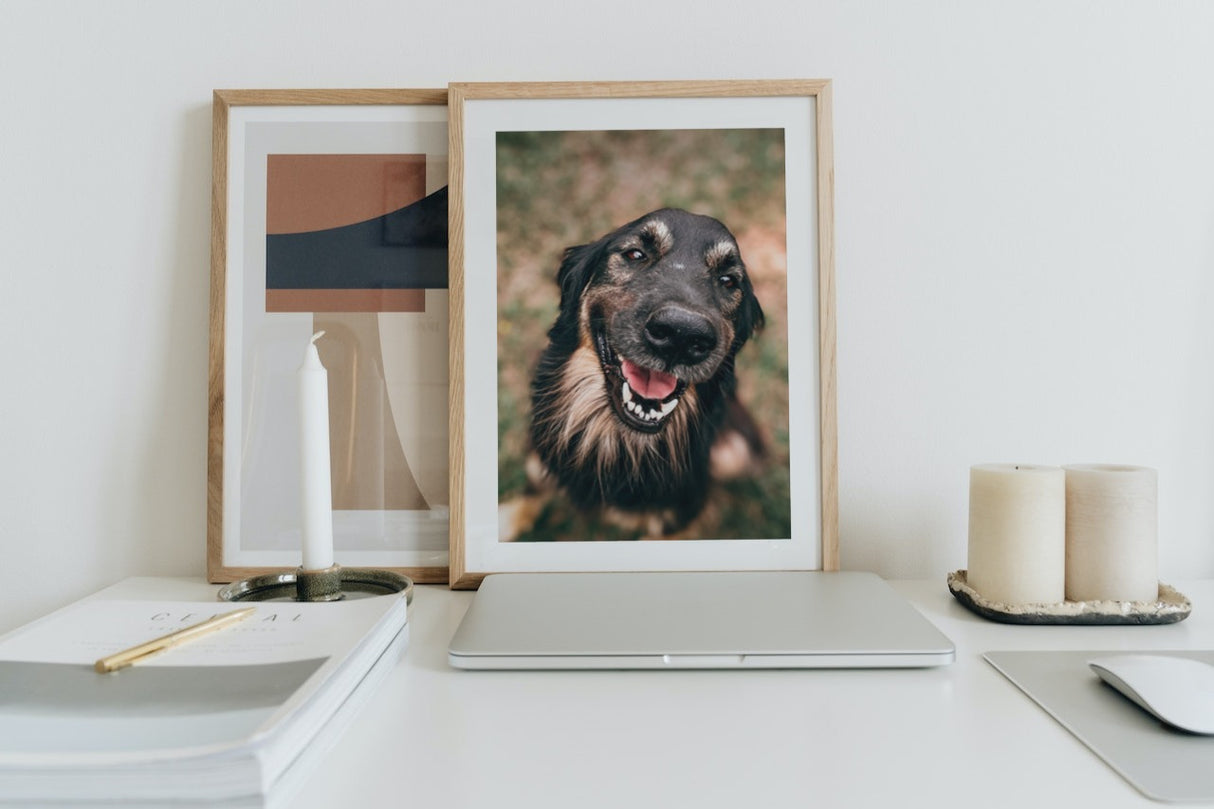 Ladda upp egen bild - 21x30 (A4) Min Poster