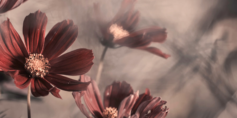 Fabien Bravin