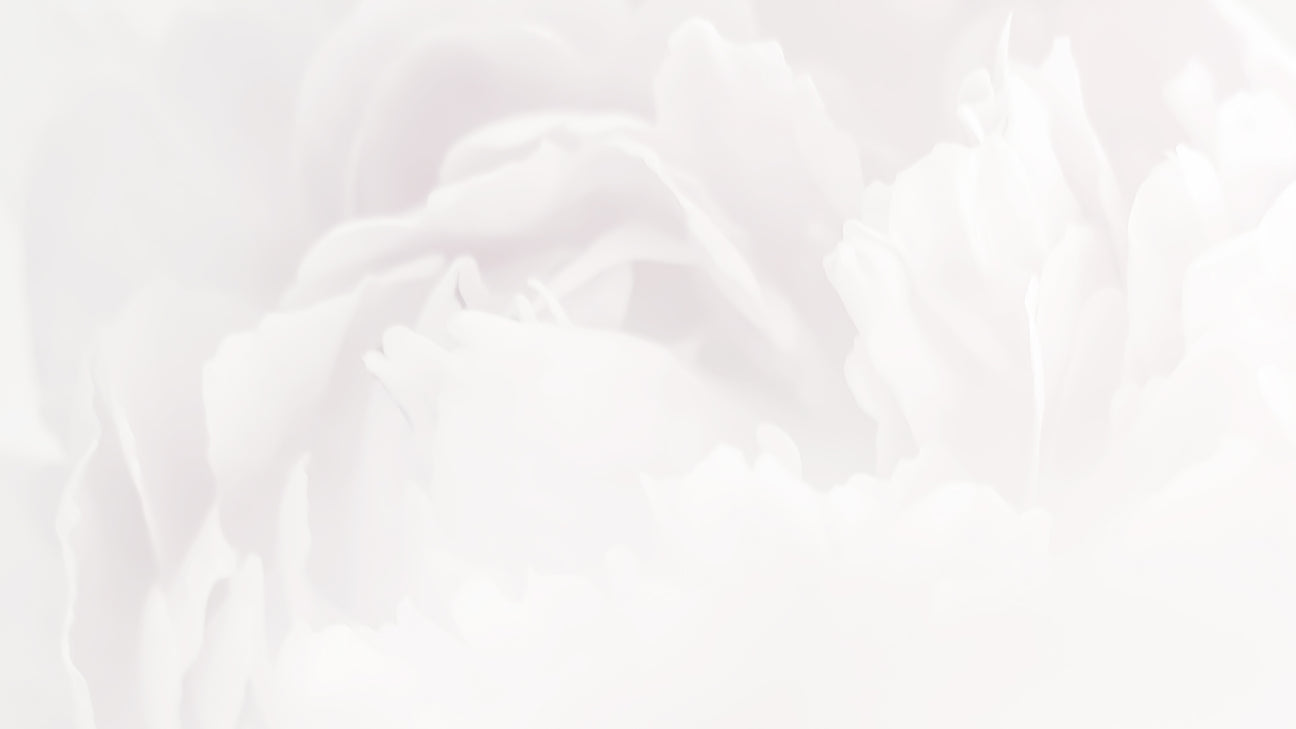 Botanical High-Key