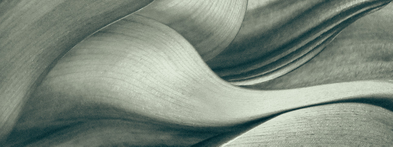 Print News June 2023