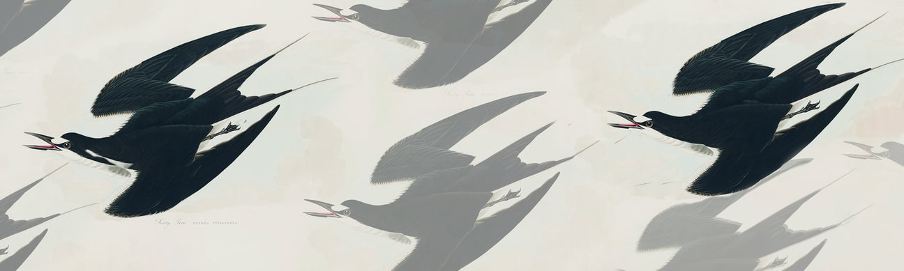 John James Audubon