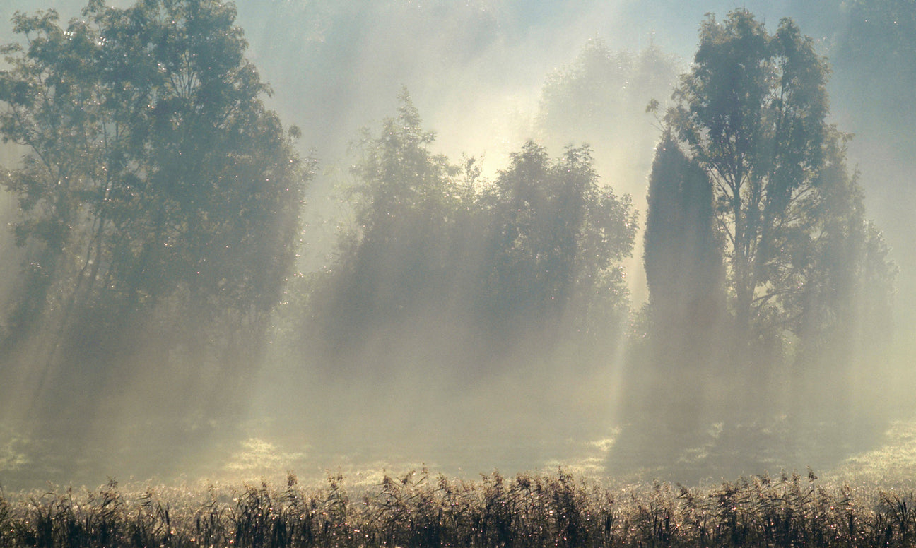 Landscapes