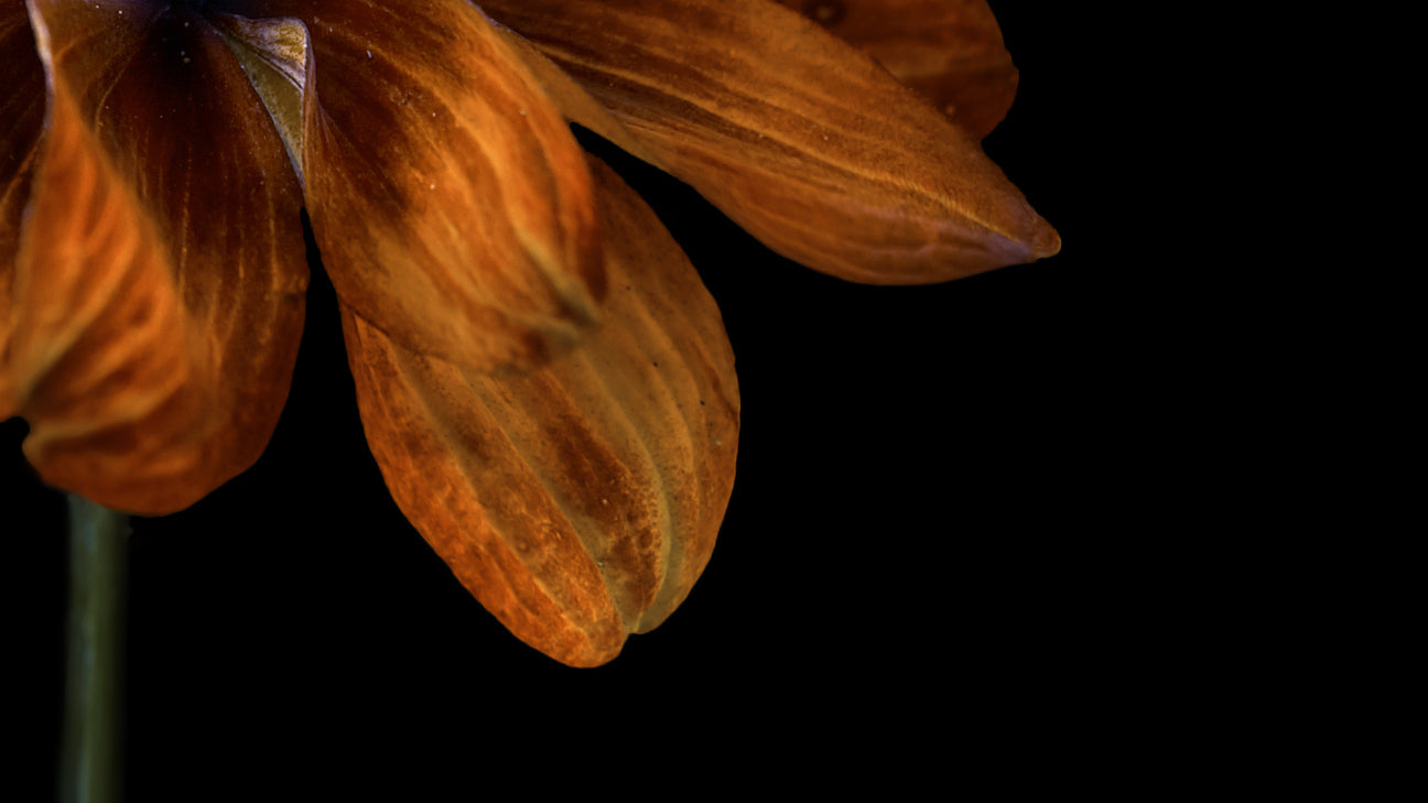 Botanical Low-Key