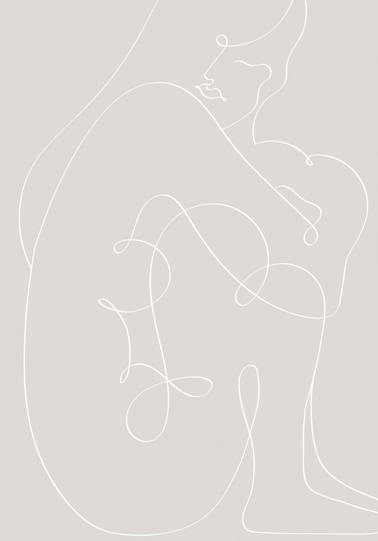 Pictufy Studio Illustration