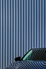 Car & Wall Poster och Canvastavla