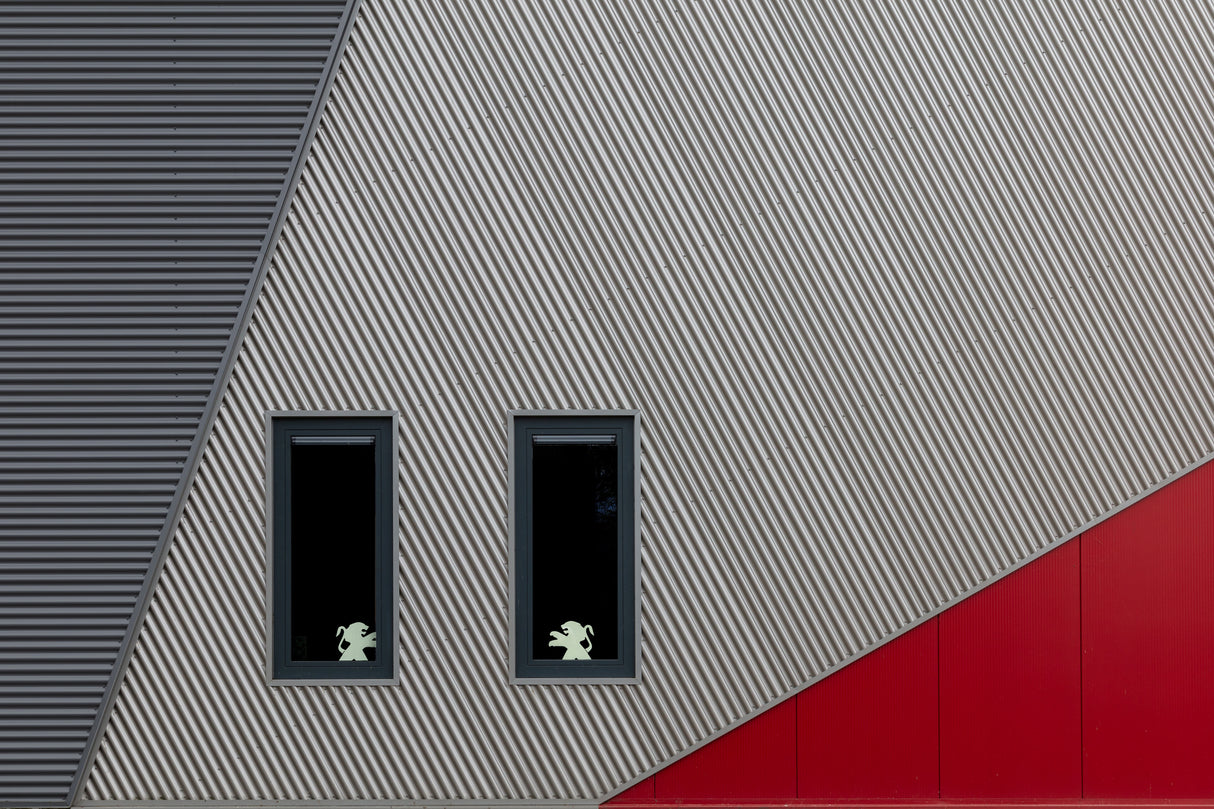 The white lions Poster och Canvastavla