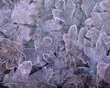 frozen Poster och Canvastavla