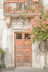 Floral Entry Poster och Canvastavla