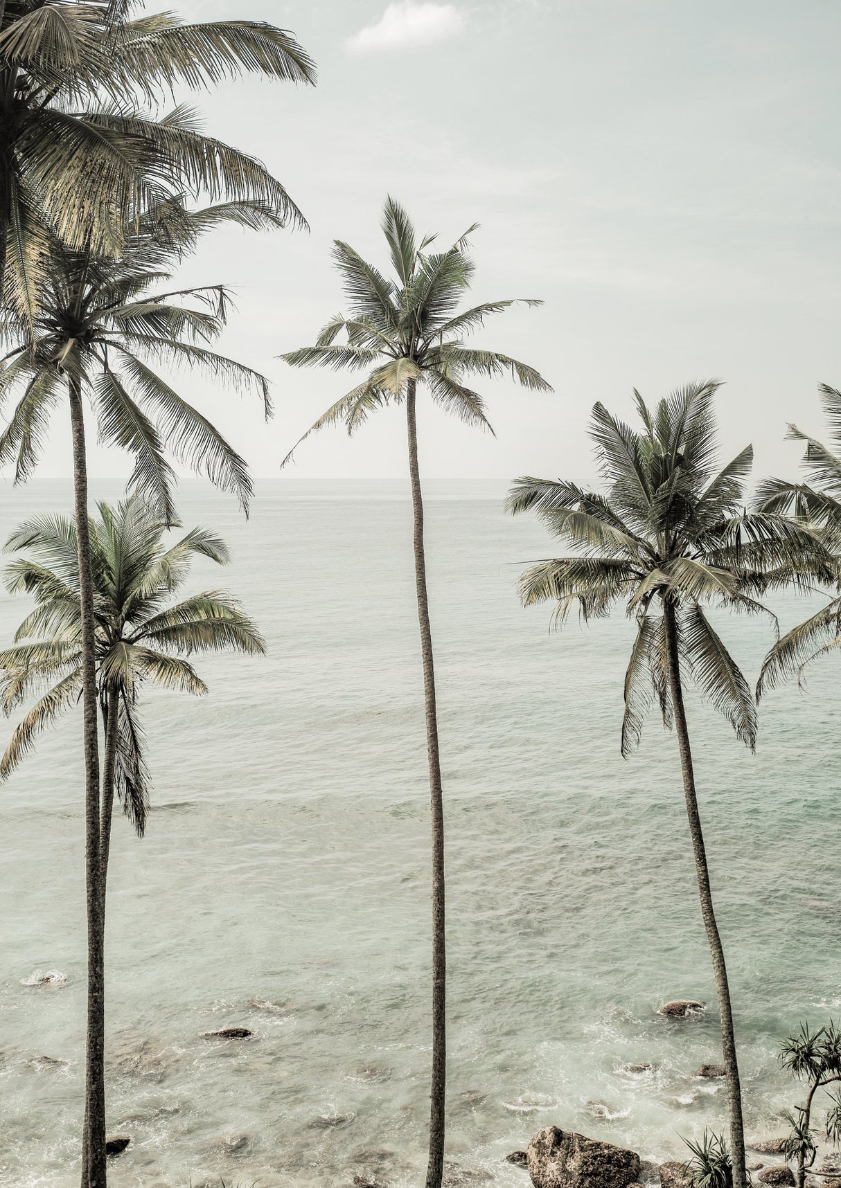 Tropical Dreams Poster och Canvastavla