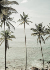 Tropical Dreams Poster och Canvastavla