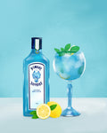 Gin Cocktail Poster och Canvastavla