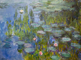 Water Lilies 1915 Poster och Canvastavla