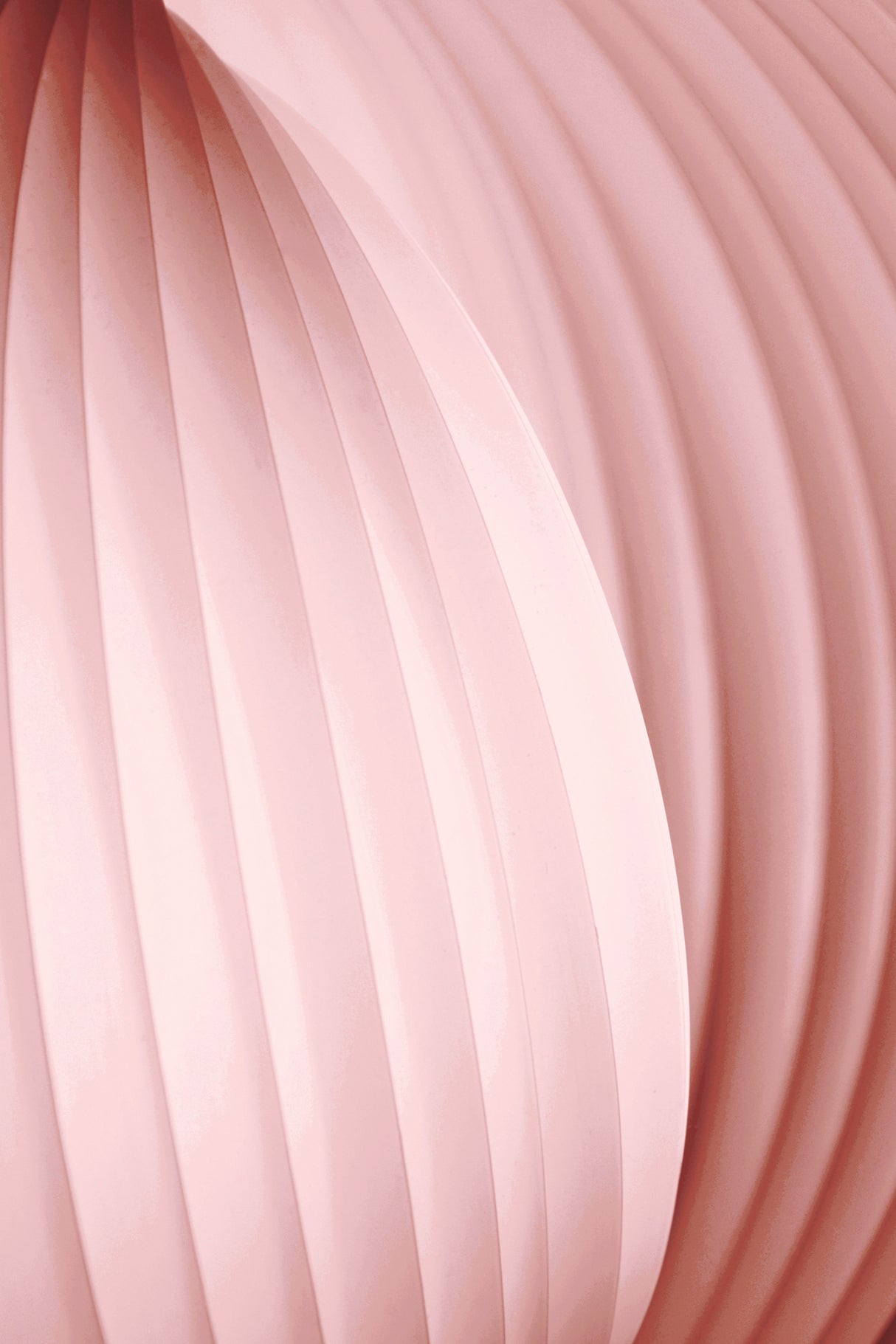 Peach Pink Poster och Canvastavla