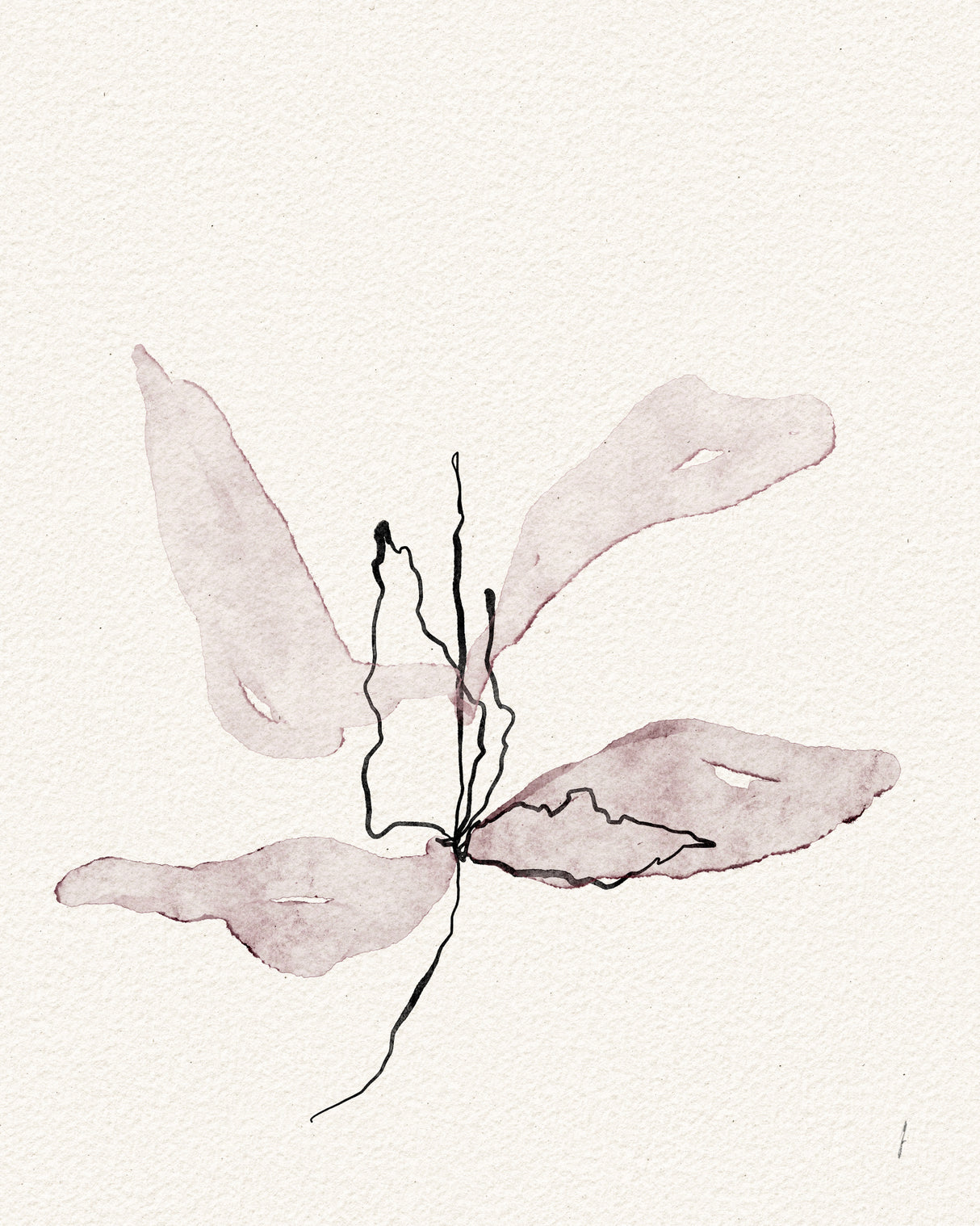 BUTTERFLY Poster och Canvastavla