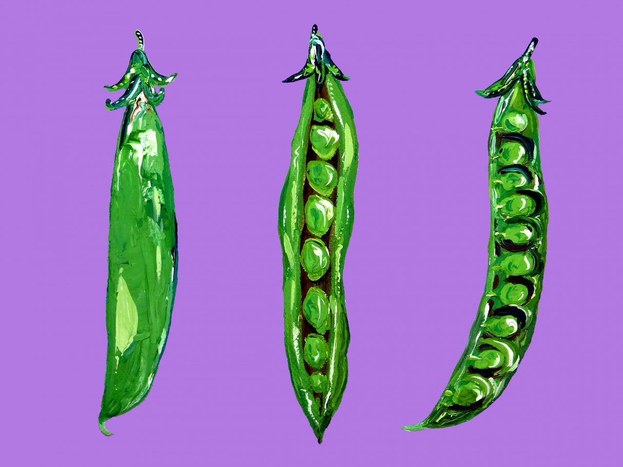 Peas In a Pod Poster och Canvastavla