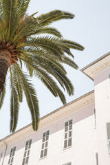 Tropical Menton Poster och Canvastavla