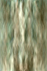 Flowing Nature Poster och Canvastavla