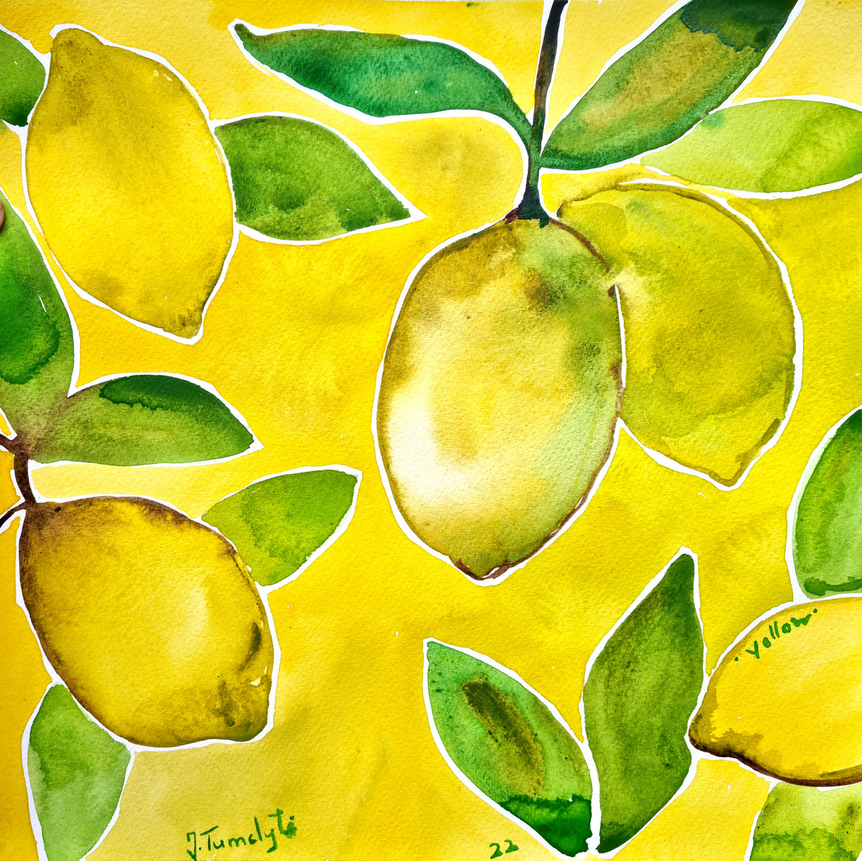 Yellow Lemons Poster och Canvastavla