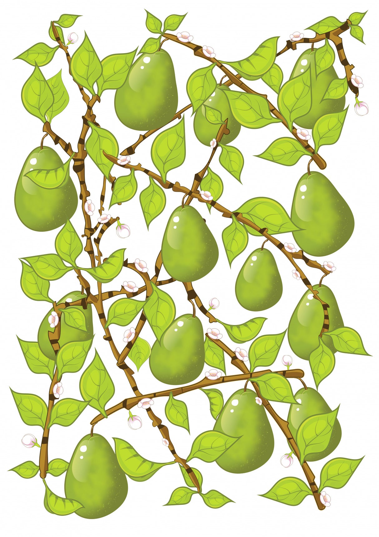 Pears Poster och Canvastavla
