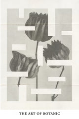 The art of botanic No.1 Poster och Canvastavla