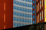 Sunlight Poster och Canvastavla