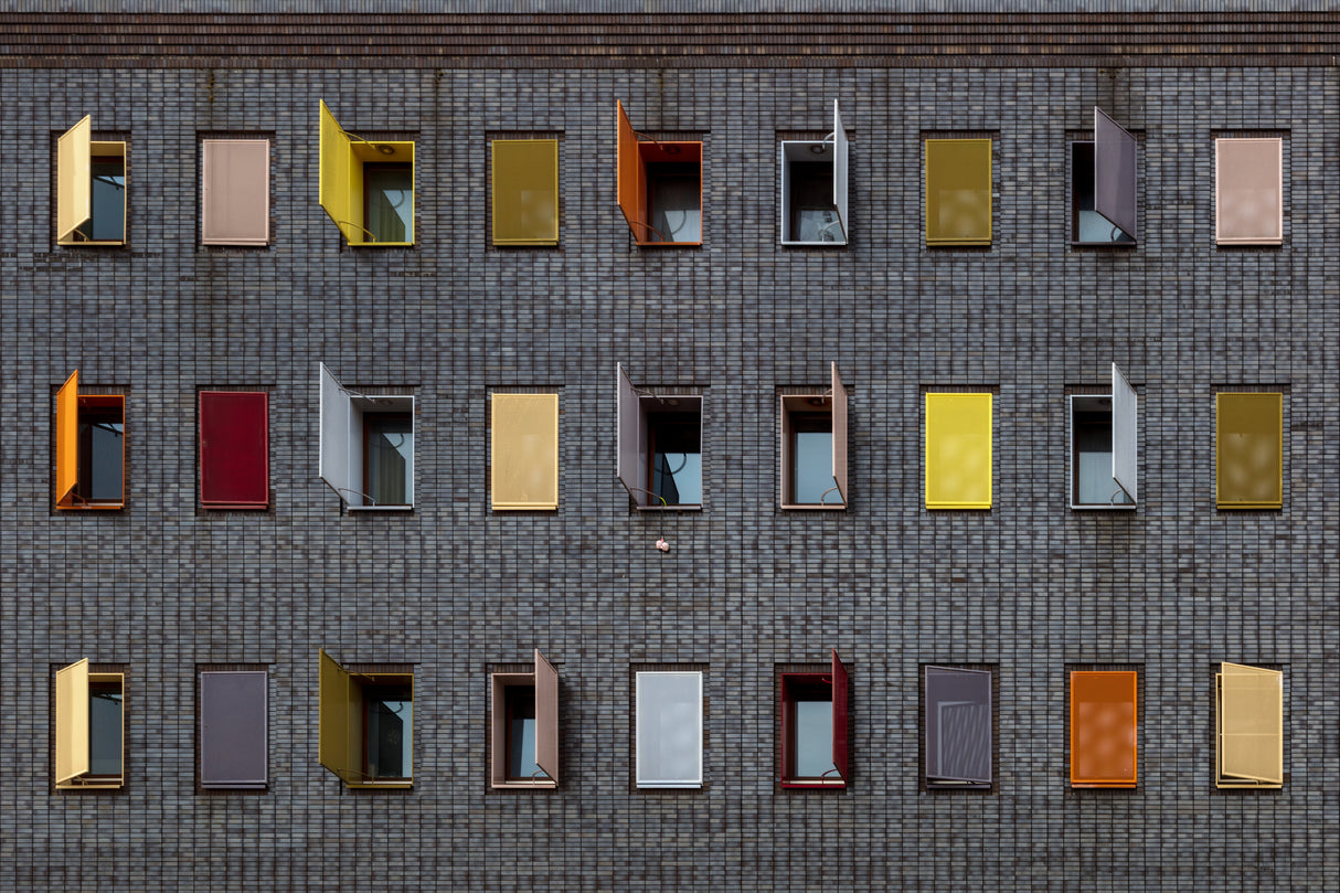 Several colours Poster och Canvastavla