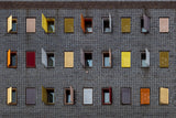 Several colours Poster och Canvastavla